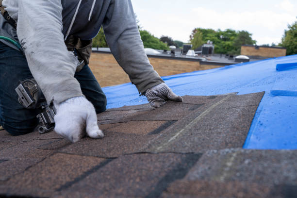 Best Emergency Roof Repair  in Castalia, OH